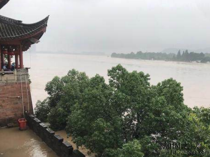 錢塘江暴發大洪水，植筋加固過的房屋能撐得住嗎