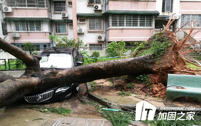 臺風“山竹”對建筑物造成多大的影響？