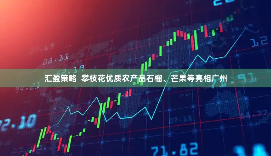 汇盈策略  攀枝花优质农产品石榴、芒果等亮相广州